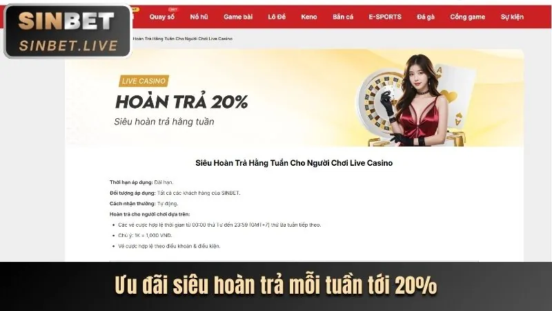 Quyền của người dùng tại KV9999